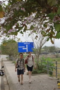 hoa ban