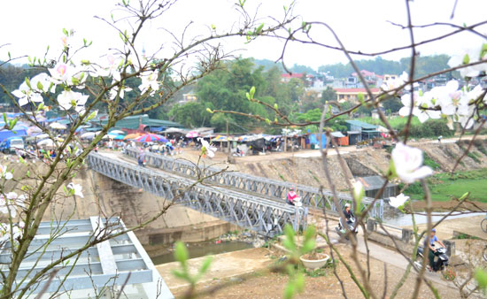 Cầu Mường Thanh 