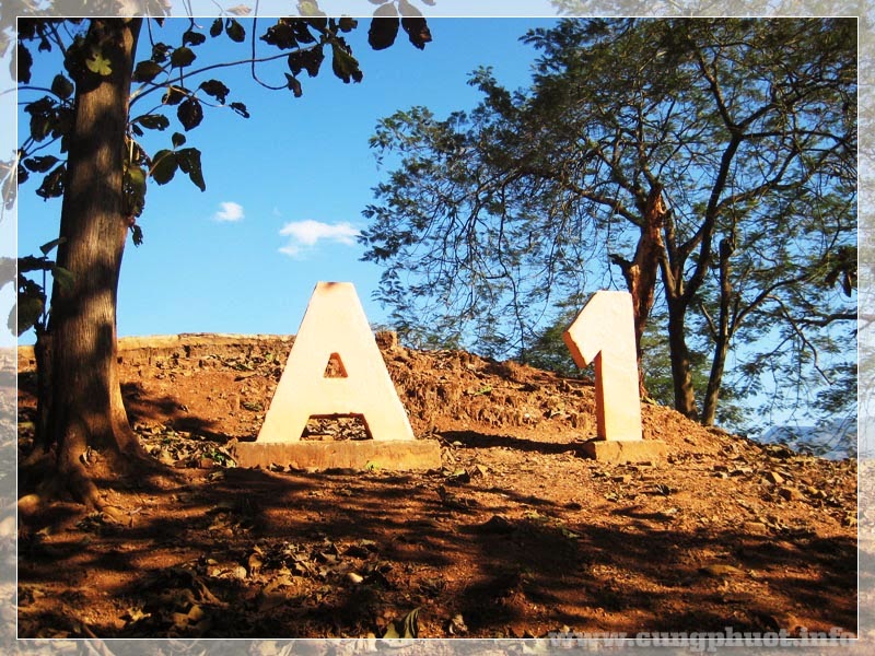 5. Đồi A1