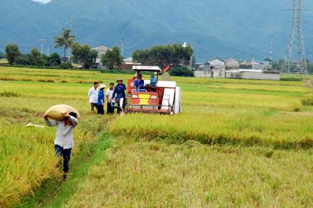 Thịt trâu gác bếp Điện Biên