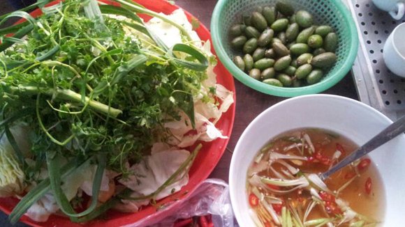 nhót xanh điện biên