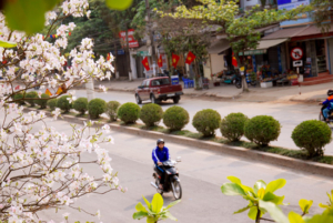 Lễ hội Hoa Ban