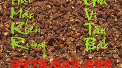 Hạt Mắc Khén Rừng và Hạt Dổi Rừng – Gia vị “Độc” núi rừng Tây Bắc cần phải có trong bếp ăn nhà bạn