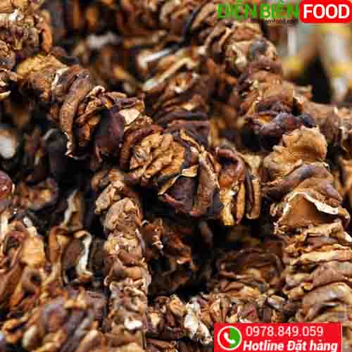 nam-huong-rung