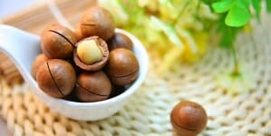 Hạt Mắc Ca Điện Biên (Macadamia) “Hoàng hậu” của các loại Hạt