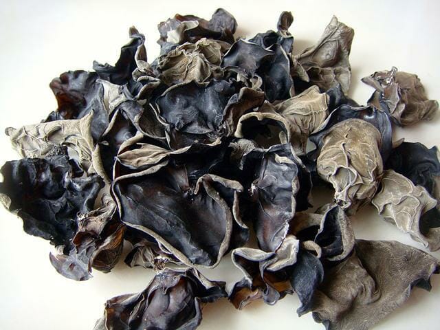 mộc nhĩ rừng
