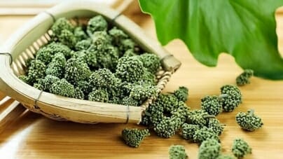 Tam Thất Bắc vị thuốc quý