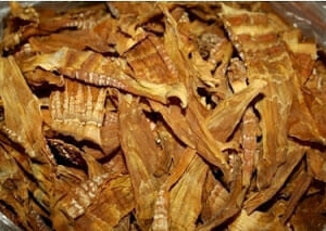 măng rừng khô