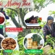 Top 10 đặc sản Điện Biên làm quà chuẩn nhất