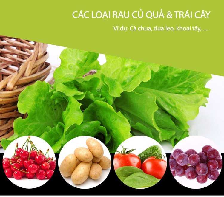 hút chân không thực phẩm
