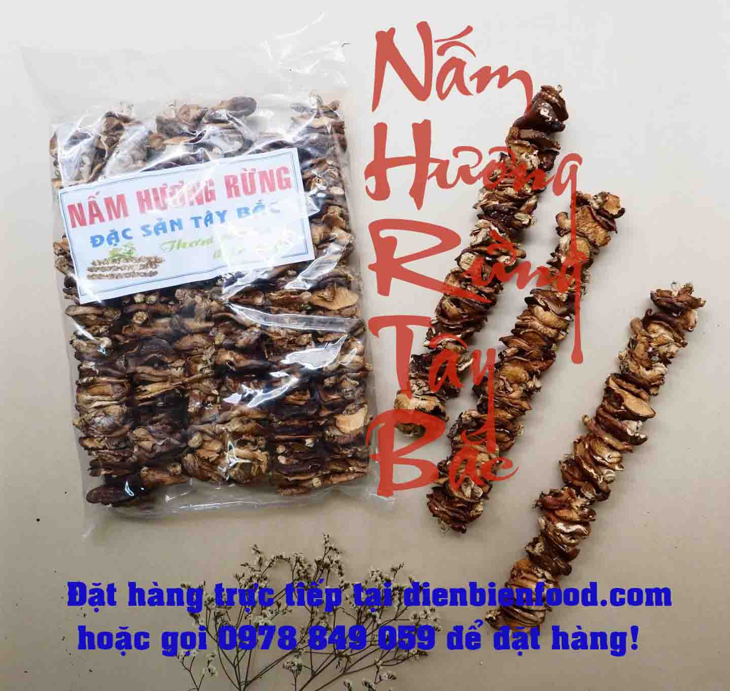 nấm hương rừng