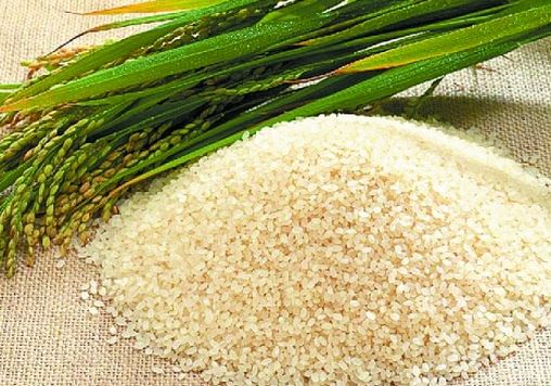 gạo nếp nương điện biên