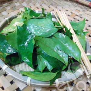 la mac mat tươi
