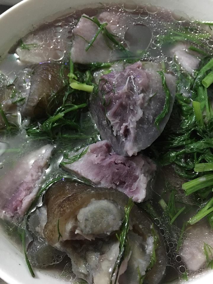 khoai sọ tím