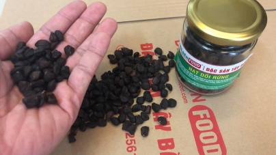 Tác dụng của Hạt Dổi Rừng trong chữa bệnh