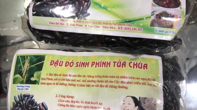 Đậu Đỏ Sính Phình Tủa Chùa