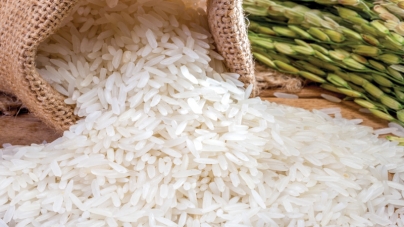 Gạo Tám Thơm Nức Tiếng Mường Thanh Điện Biên Phủ