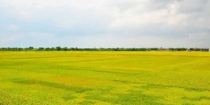 Gỡ ‘điểm nghẽn’, mở hướng phát triển cho Điện Biên