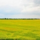 Gỡ ‘điểm nghẽn’, mở hướng phát triển cho Điện Biên