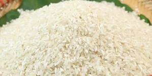 Gạo Séng Cù Điện Biên Nức tiếng vùng đất Mường Thanh