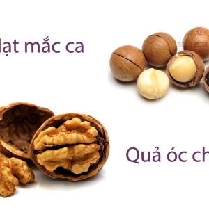So sánh hạt óc chó với hạt macca