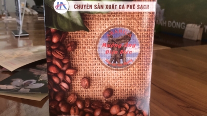 Cà phê Mường Ảng Điện Biên